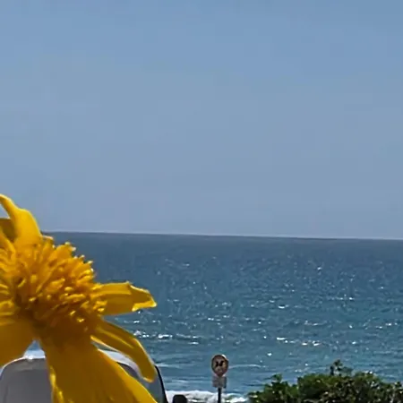 Apartament Da Da Areia Branca *